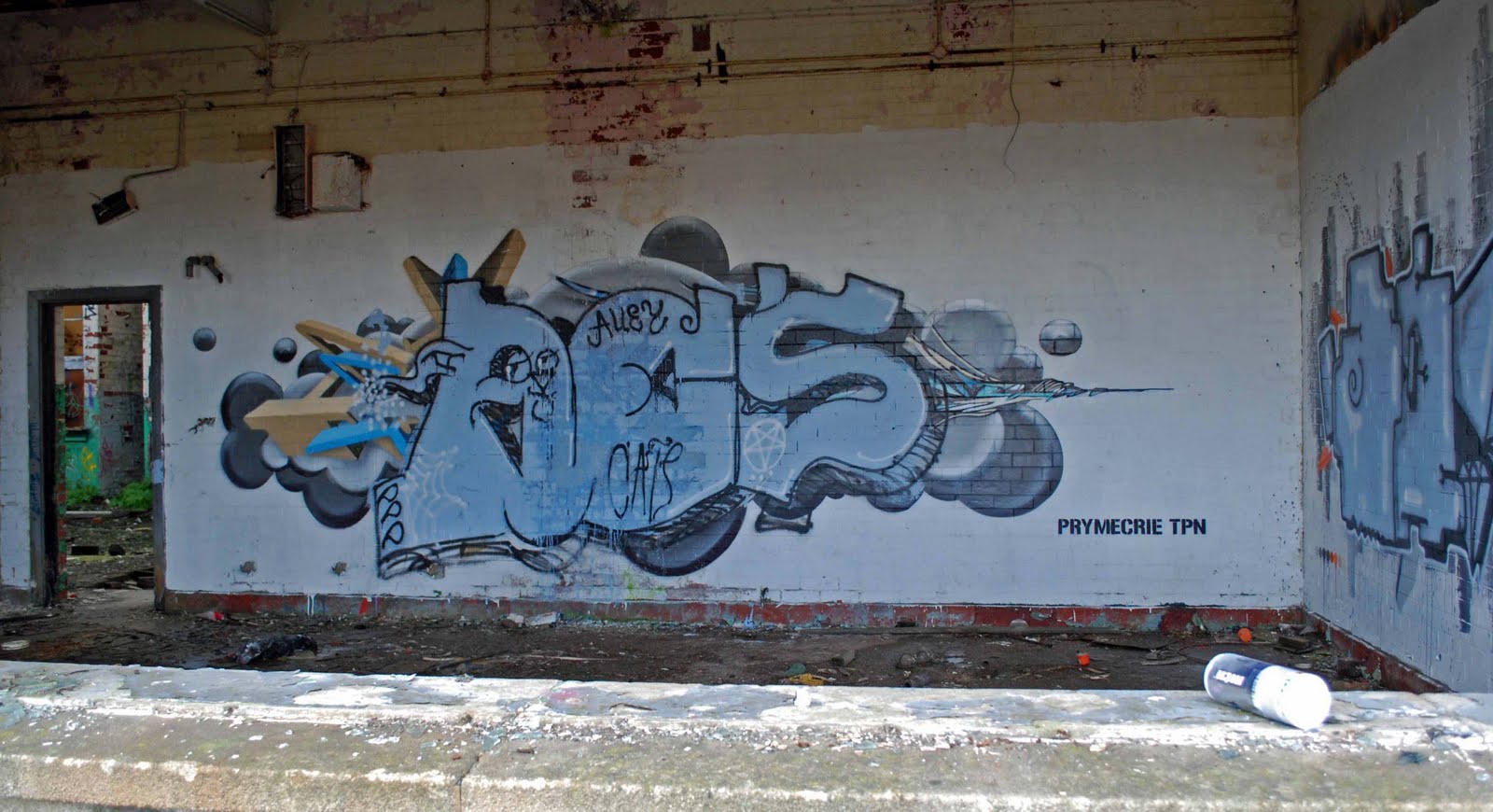 [Huncoat+-+TPN+dogged+2+-+13.11.2010.JPG]