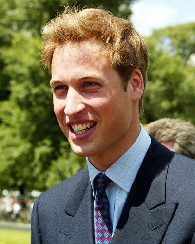 prince williams partying. William#39;s bachelor party,