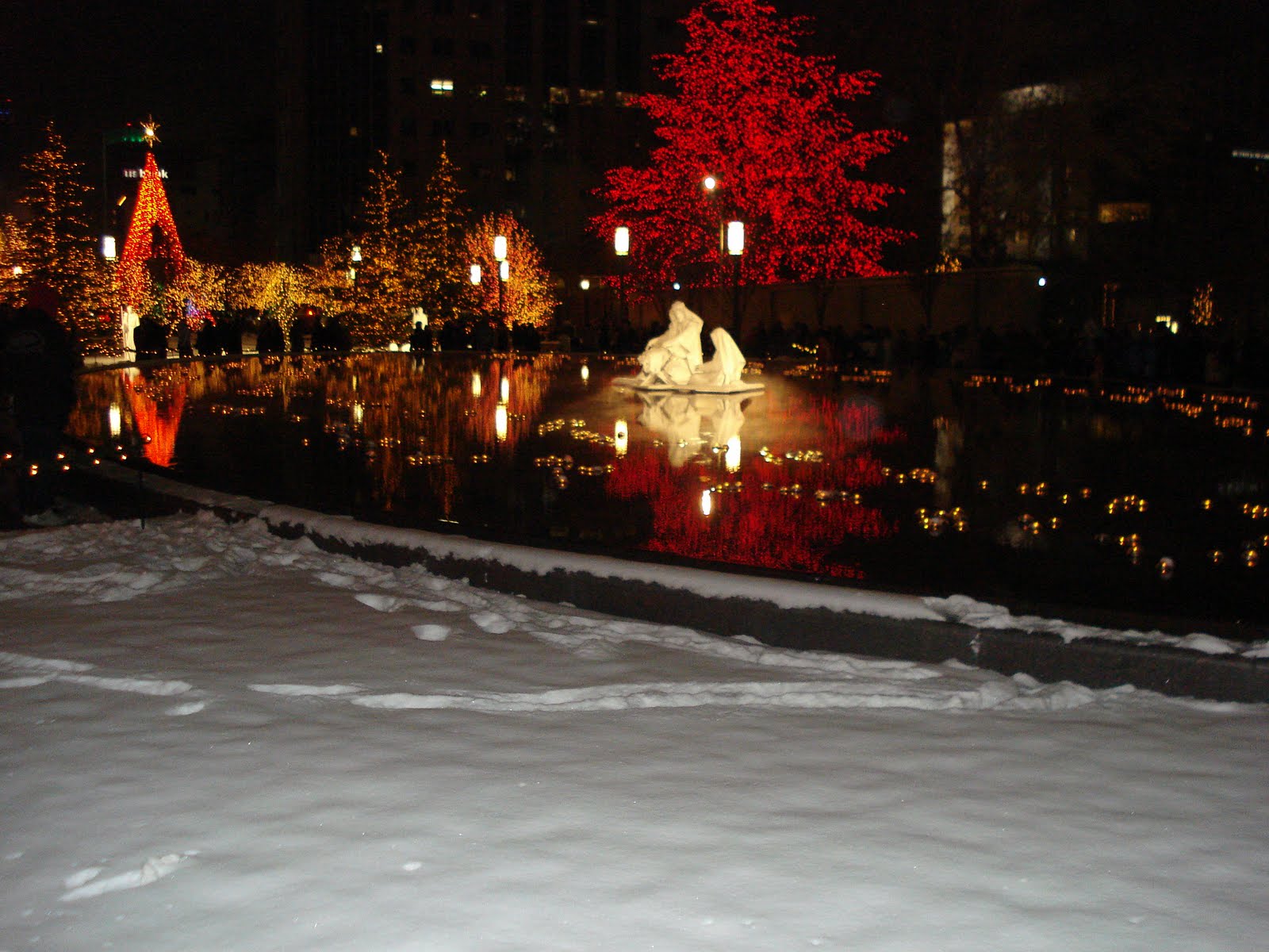 [DSC01129.JPG]