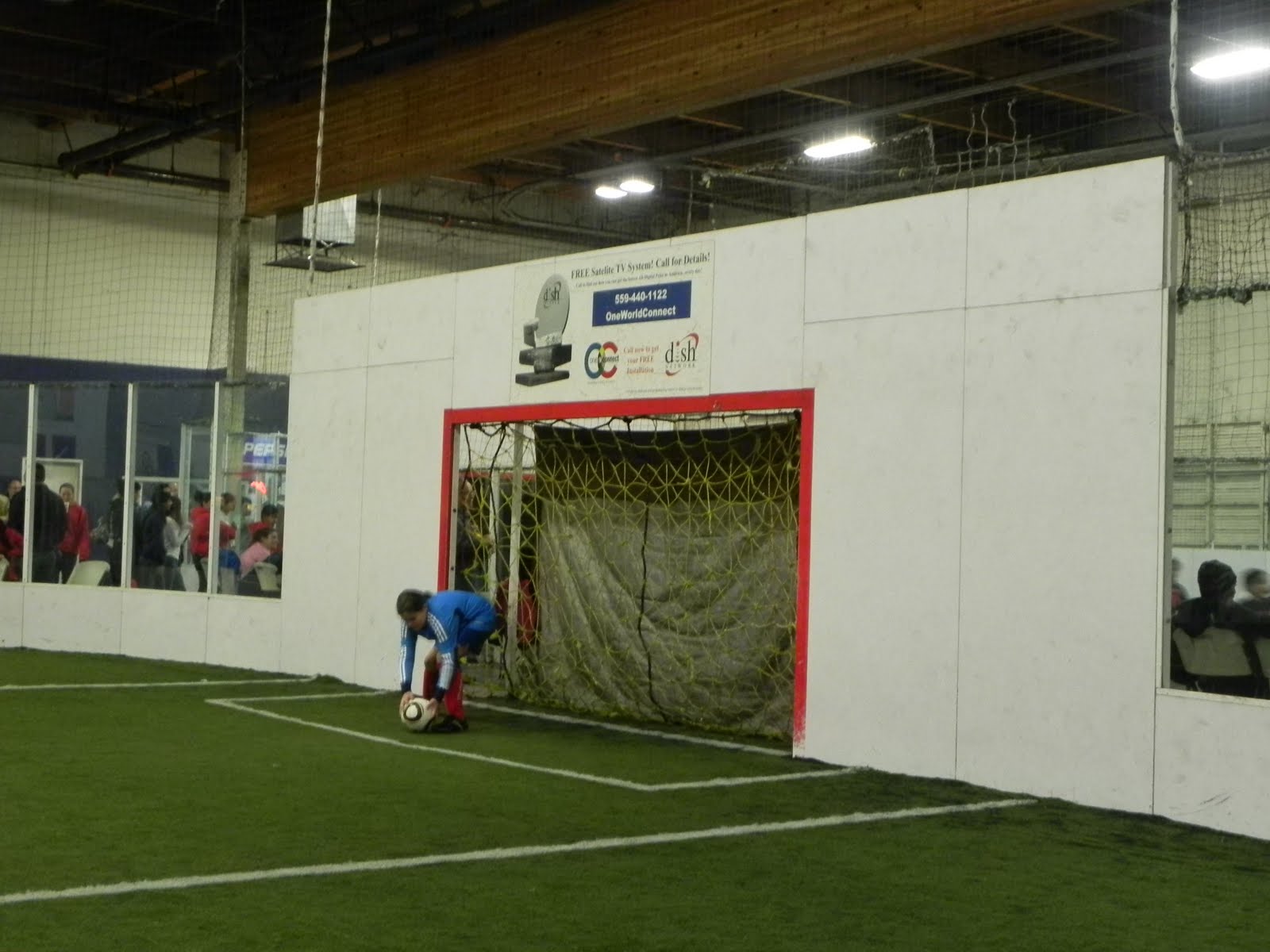 Looking Forward and Back Fresno Indoor Frogs