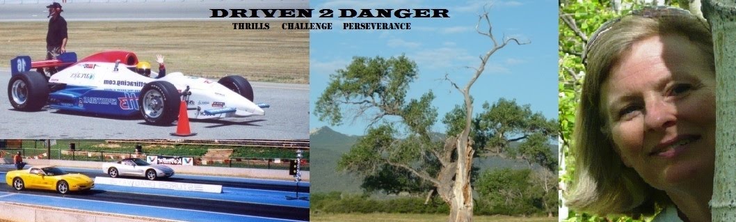 DRIVEN 2 DANGER