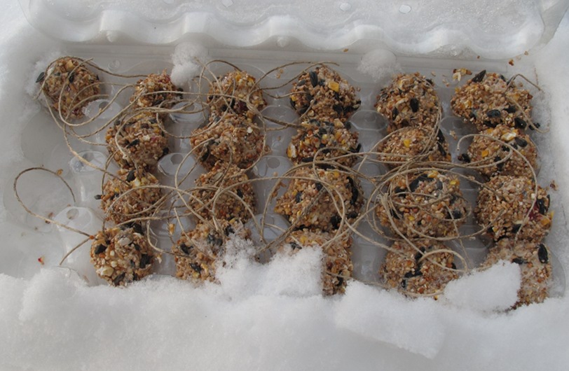 W.E.S.T Winnipeg Etsy Street Team Tutorial Tuesday Birdseed Balls