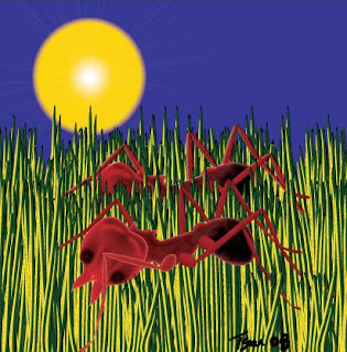Fire Ant illustration by Atlanta Illustrator Tony Sarrecchia