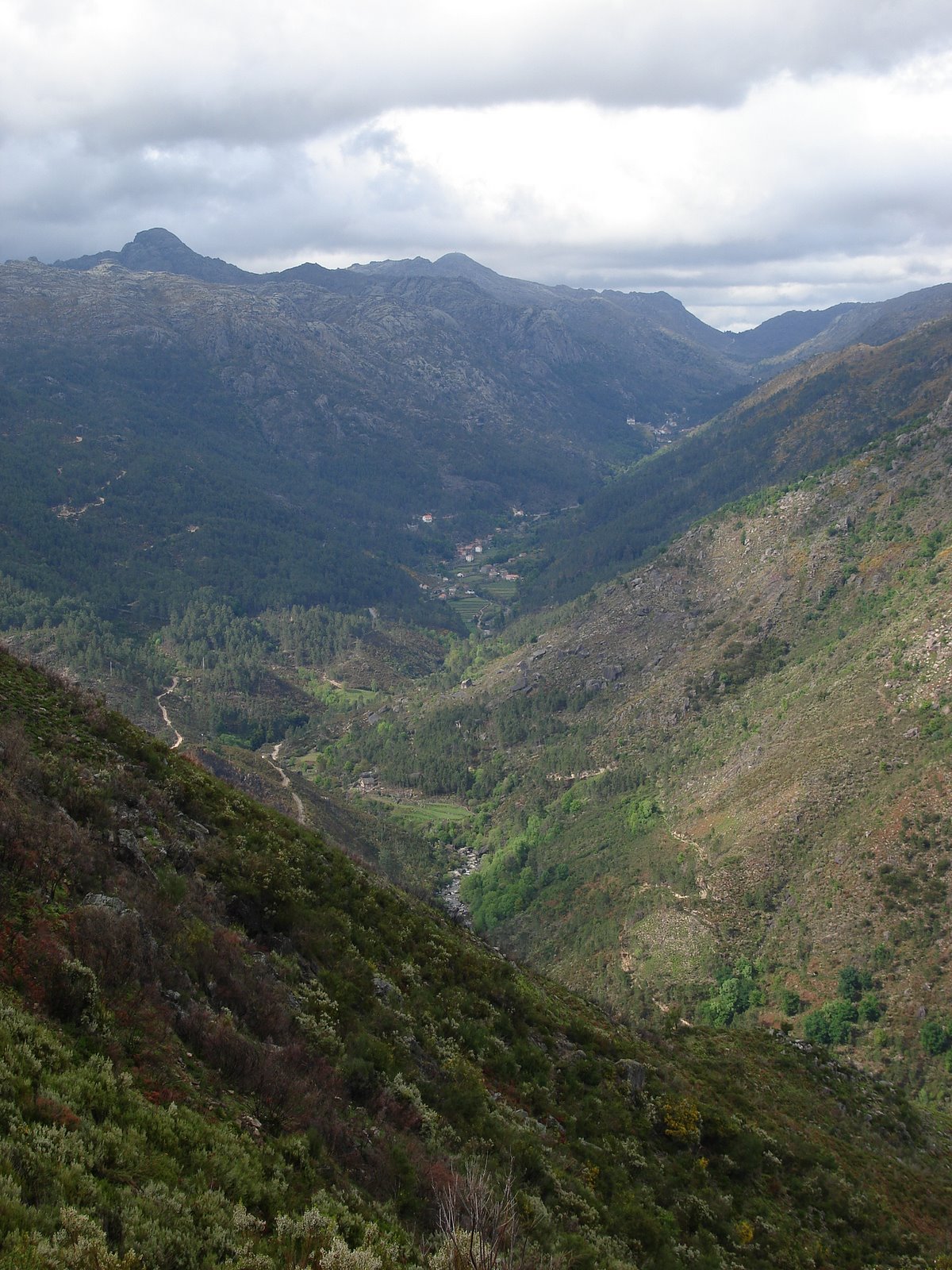 [DSC07605.JPG]