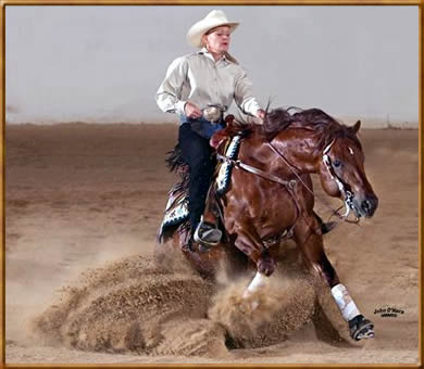 Horses Reining