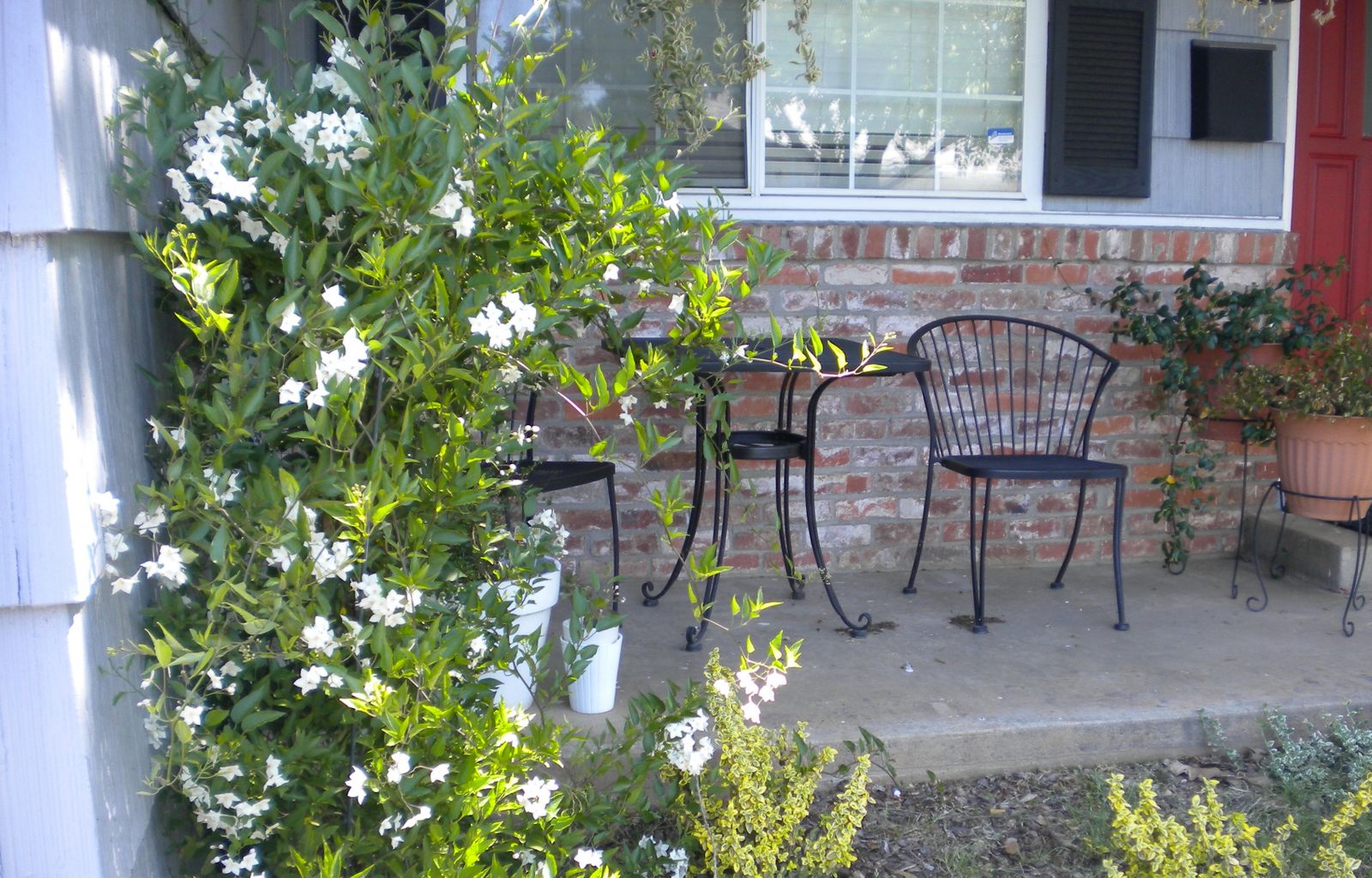 Taming the Vines Home Depot Center