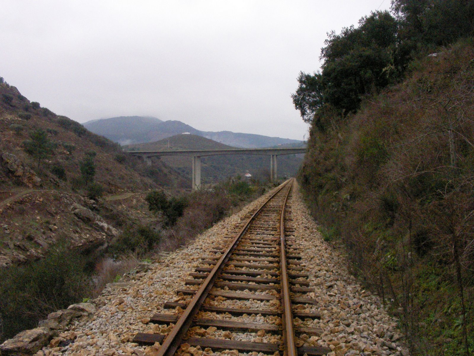 [SANY0084.JPG]