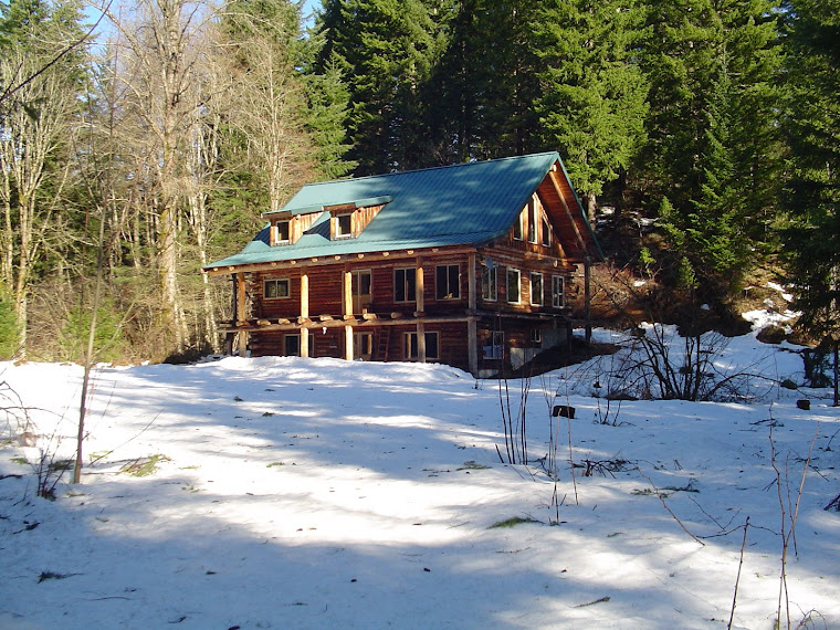 My Daughter's Log Home