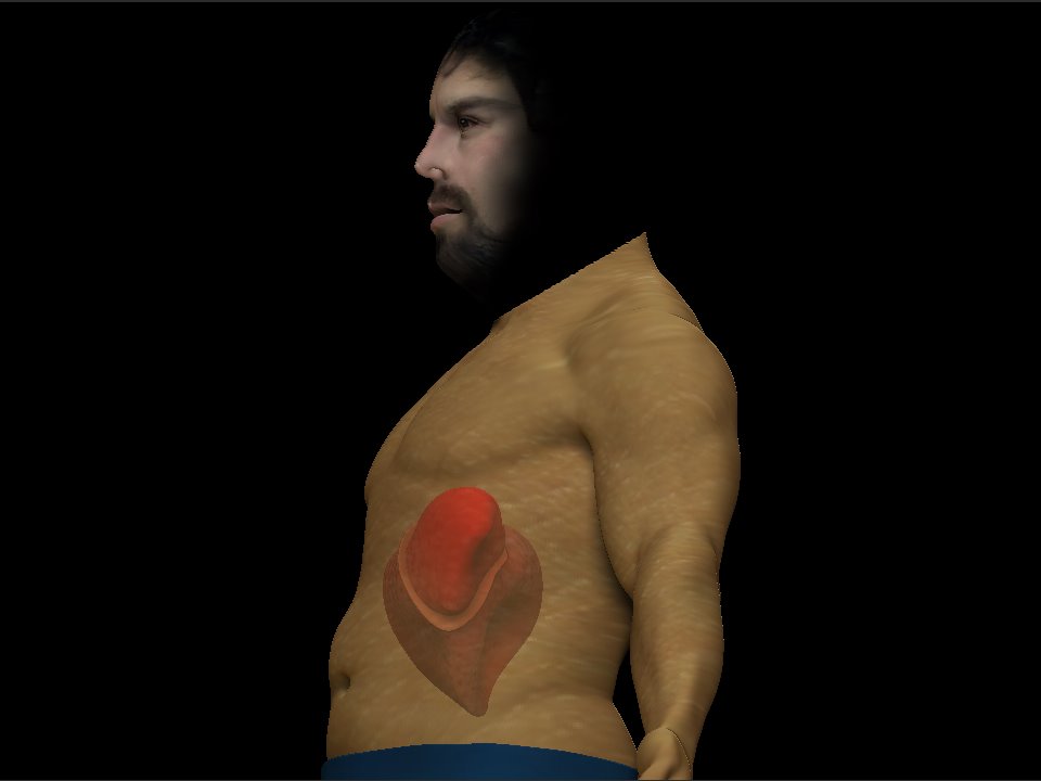 [digbob1.BMP]