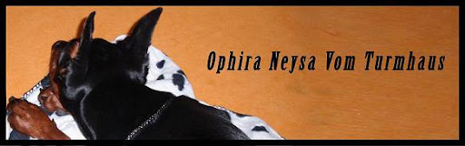 Ophira Neysa