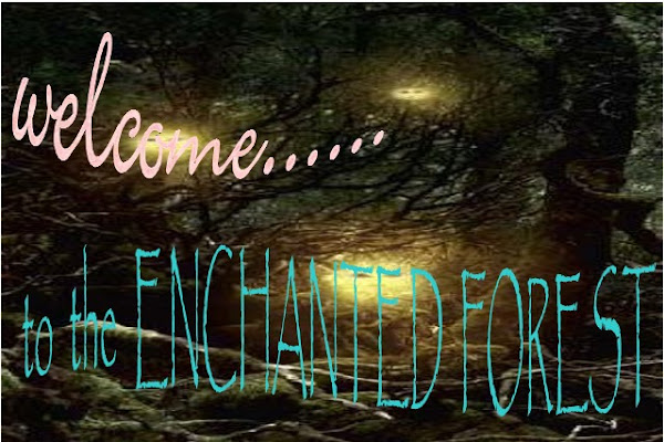 the enchanted forest
