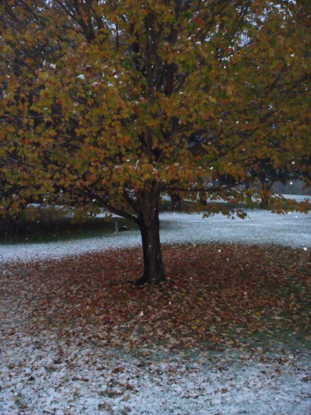[Fall+snow.jpg]