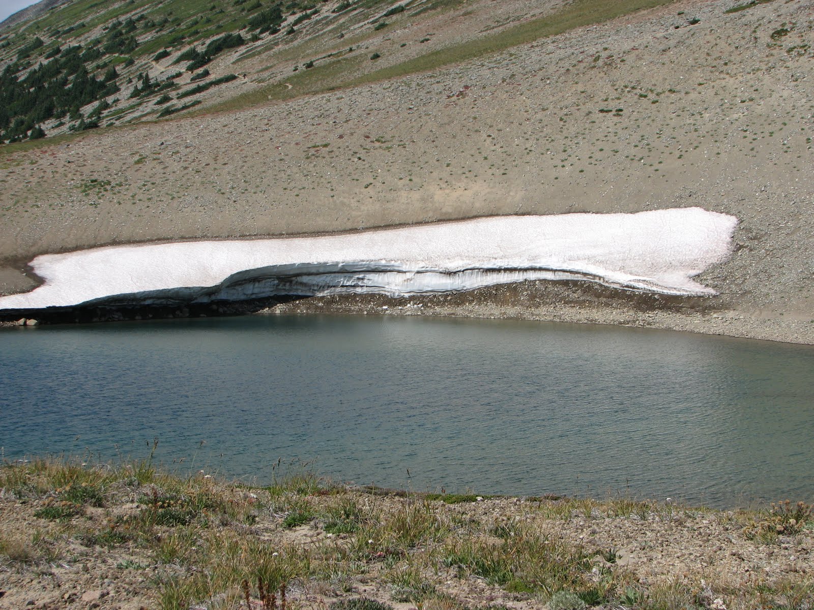 [IMG_3683.JPG]