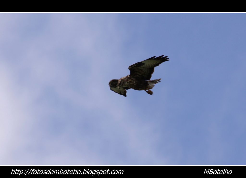 [IMG_4193ab1.jpg]