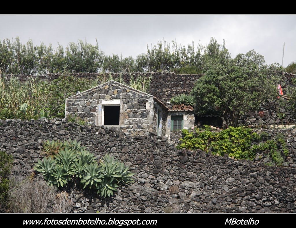 [IMG_4824b1.JPG]