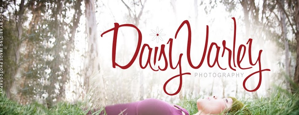 San Diego Wedding Photographer  [Daisy Varley Photography] LOVE . LIFE . ART