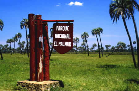 Parque Nacional El Palmar