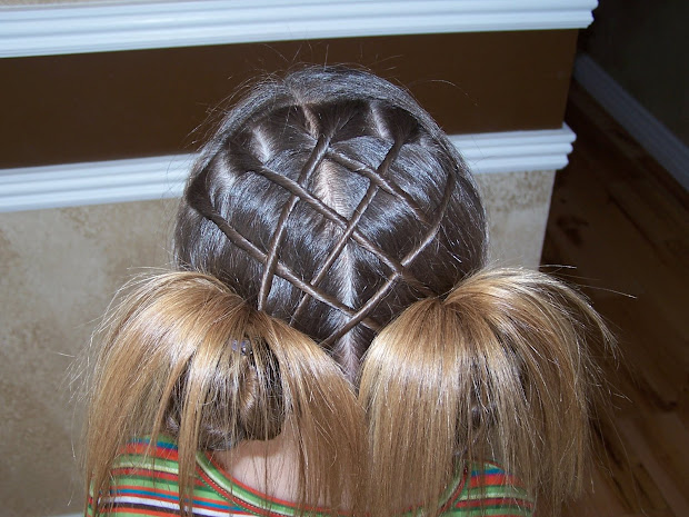 barney family princess hair
