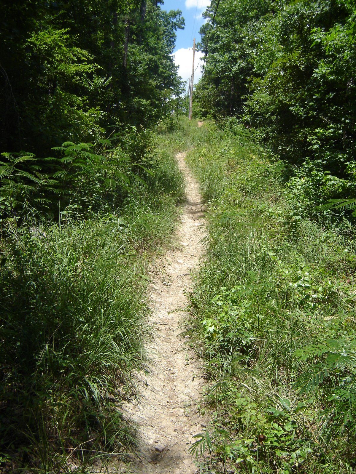 [DSC08406.JPG]