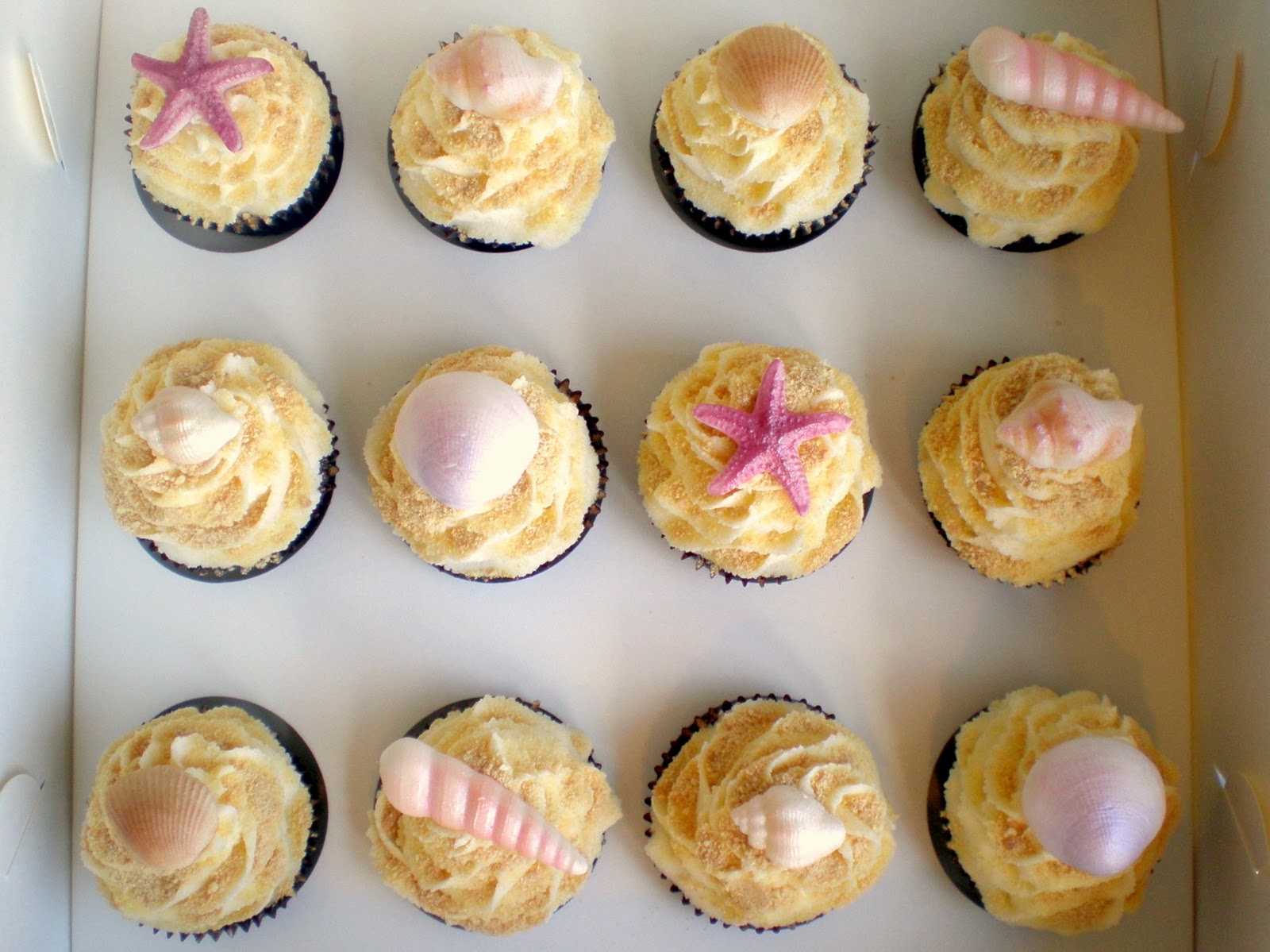 Sugar Siren Cakes Mackay Beach Shell Cupcakes