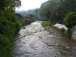 Río Otún