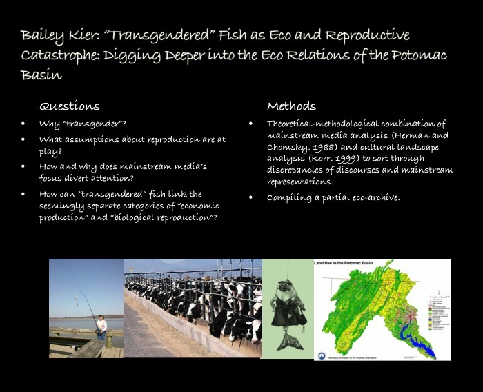 Ecosystemic essay definition image