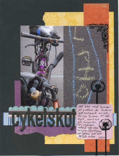 [cykelskoj.jpg]