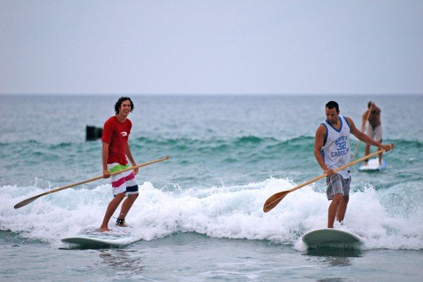 [n2308380_39121285_2702.jpg]