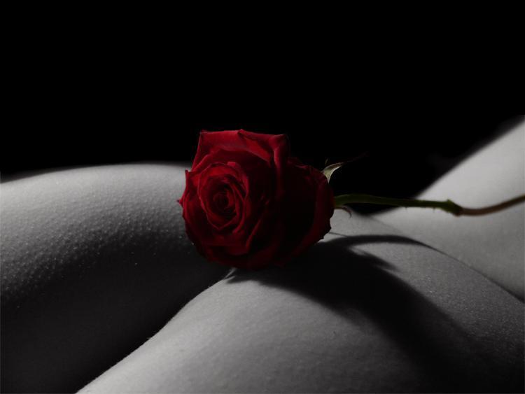 Смазливая красотка фотографируется голой с лепестками роз