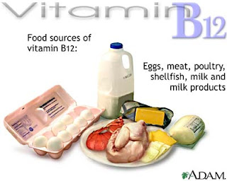 Benefits of Vitamin B12, Sources of Vitamin B12