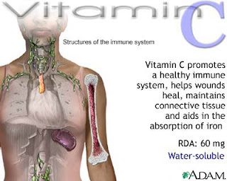 Benefits of Vitamin C, Sources of Vitamin C