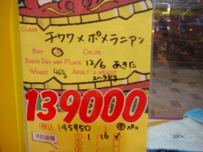伊東遥家族新成員!