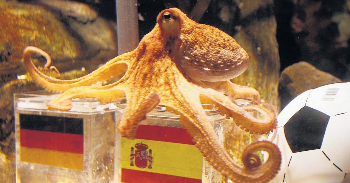 ऑक्‍टोपस बाबा की जय...!