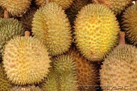 [durians+full.jpg]