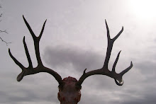 Idaho Deer Hunt