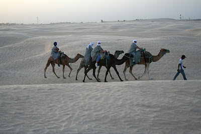 Caravana en el desierto 