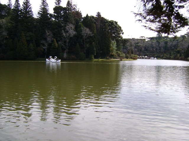 Lago Negro