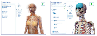 Anatomia 3D