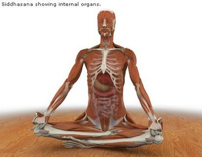 posturas de Hatha Yoga en imágenes