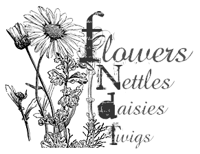 flowers, nettles, daisies, twigs