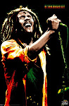 king of reggae