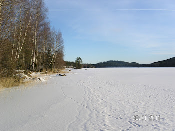 Örlången