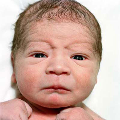 ugly babies ugly babies pictures. ugly babies