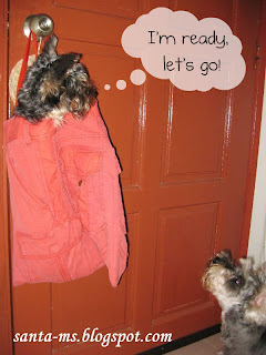 TOTE-BAG MINIATURE-SCHNAUZER SILKY-TERRIER TOTE-BAG MINIATURE-SCHNAUZER SILKY-TERRIER