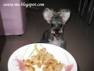 RECIPE DOG-FOOD RAW-FOOD BEEF RECIPE DOG-FOOD RAW-FOOD BEEF