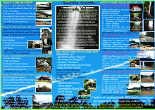 The Brochure