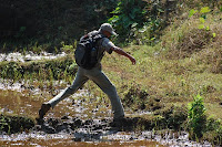 Subbu Crossing Paddy fields