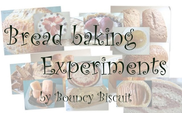 bread Baking Experiment