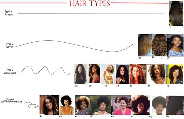 Hair Typing Helping Or Hurting The Natural Hair Community