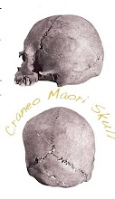 Craneo Mapuche Skull y Craneo Maori Skull